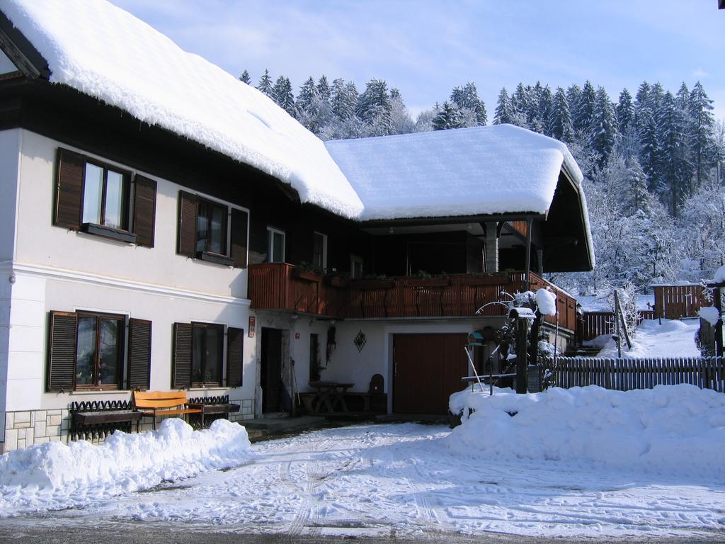 Apartments Pri Bostjanovcu Gorenja Vas  المظهر الخارجي الصورة