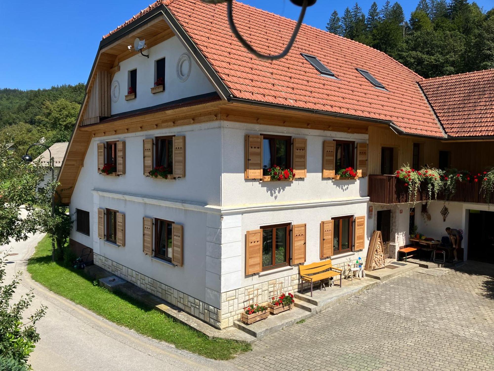 Apartments Pri Bostjanovcu Gorenja Vas  المظهر الخارجي الصورة