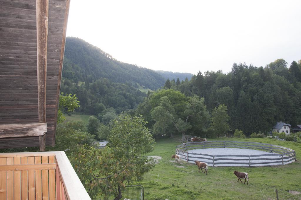 Apartments Pri Bostjanovcu Gorenja Vas  المظهر الخارجي الصورة